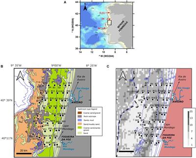 Environmental Factors Affecting Spatial Dinoflagellate Cyst Distribution in Surface Sediments Off Aveiro-Figueira da Foz (Atlantic Iberian Margin)